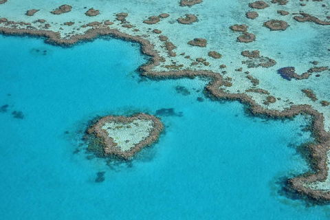 Reef And Island Scenic Flight From Airlie Beach - Accommodation Broome 5