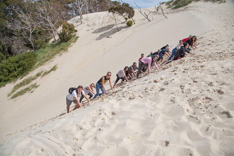 3 Day Tasmanian Wild West Coast Tour From Hobart To Launceston - Accommodation Broome 2