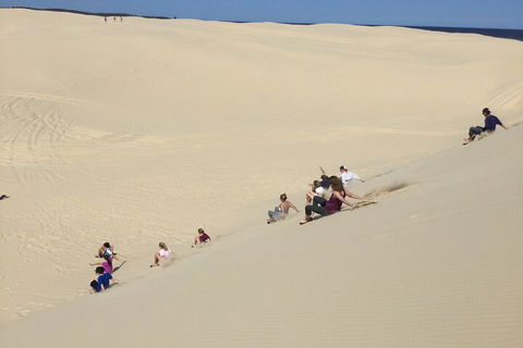 Port Stephens Bush, Beach And Sand Dune 4WD Passenger Tour - Accommodation Broome 4