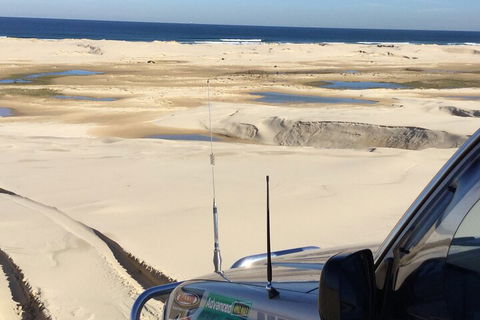 Port Stephens Bush, Beach And Sand Dune 4WD Passenger Tour - Accommodation Broome 5