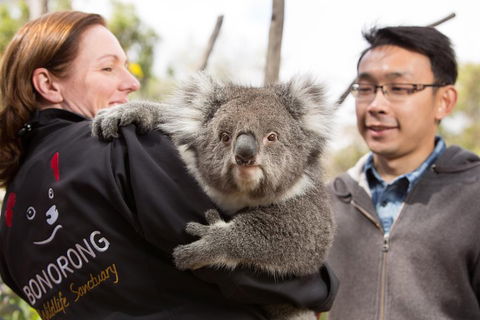 Bonorong Wildlife Park And Richmond Afternoon Tour From Hobart - Accommodation Broome 0