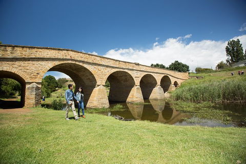 Bonorong Wildlife Park And Richmond Afternoon Tour From Hobart - Accommodation Broome 2