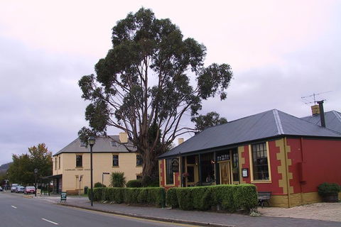Bonorong Wildlife Park And Richmond Afternoon Tour From Hobart - Accommodation Broome 3