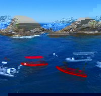 3-Hour Byron Bay Certified Scuba Diving Tour - Accommodation Broome