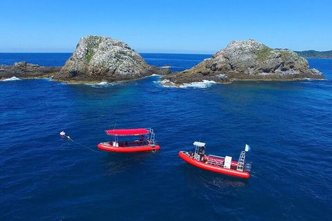 3-Hour Byron Bay Certified Scuba Diving Tour - Accommodation Broome 0
