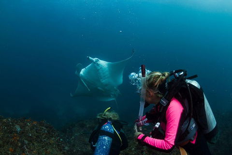 3-Hour Byron Bay Certified Scuba Diving Tour - Accommodation Broome 2