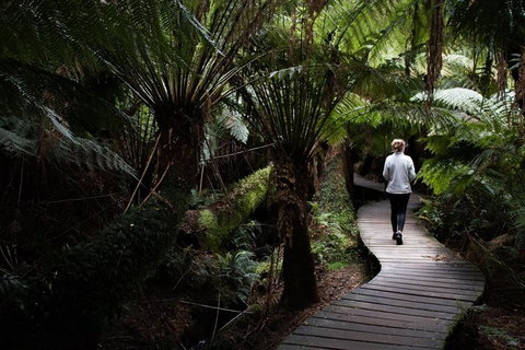 Private Tour Of Melbourne - Accommodation Broome 2