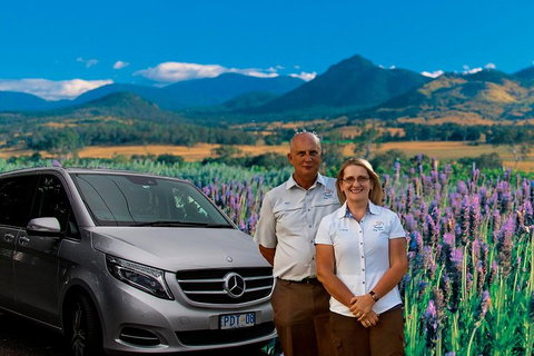 Full Day Small Group Luxury Tour To Tamborine Mountain - Accommodation Broome 3