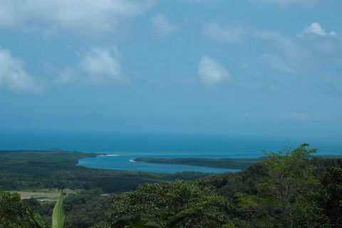 Cape Tribulation, Daintree Rainforest And Wildlife Tour - Accommodation Broome 1