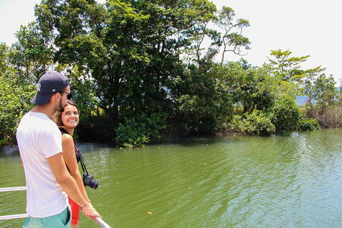 Cape Tribulation, Daintree Rainforest And Wildlife Tour - Accommodation Broome 2