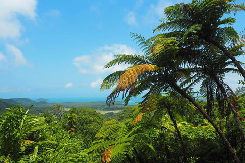Cape Tribulation, Daintree Rainforest And Wildlife Tour - Accommodation Broome 3