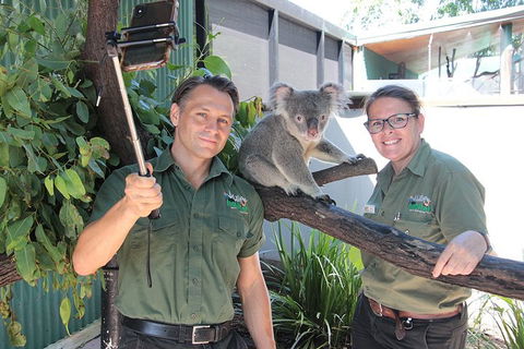 Virtual Interactive Australian Wildlife Tour With Private Guide-Wildlife Habitat - Accommodation Broome 0