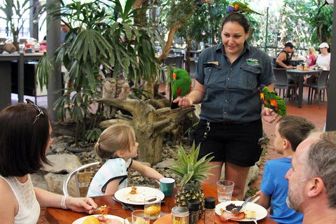 Wildlife Habitat Port Douglas - Accommodation Broome 2