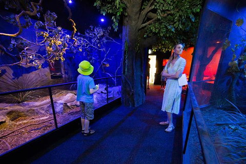 Wildlife Habitat Port Douglas - Accommodation Broome 4