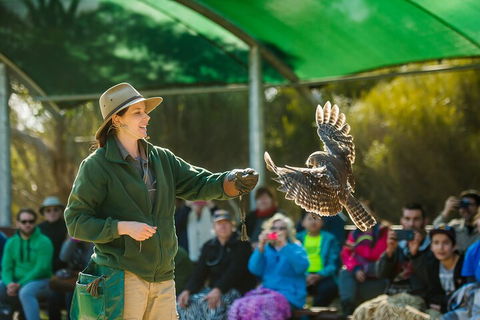 Full Day Kangaroo Island Sip And See Tour Departing From Kangaroo Island - Accommodation Broome 1