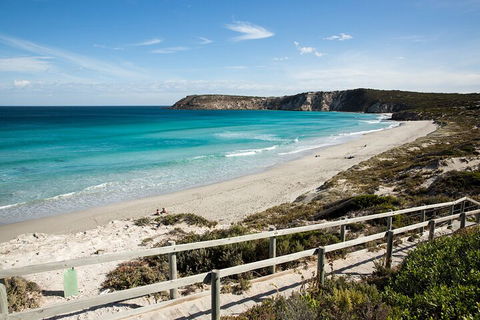 Full Day Kangaroo Island Sip And See Tour Departing From Kangaroo Island - Accommodation Broome 5
