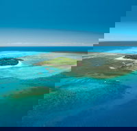 Cairns City Sights and Surrounds Tour - Accommodation Broome