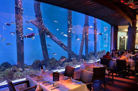 Cairns Aquarium And Small Group City Sightseeing Tour - Accommodation Broome 4
