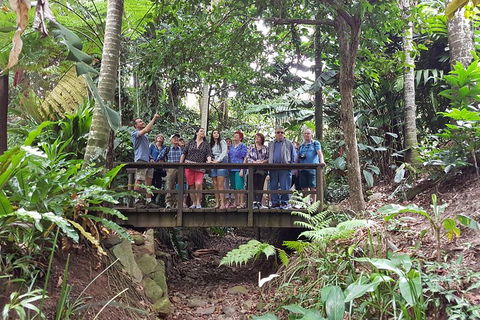 Cairns Shore Excursion: Cairns City Sights & Surrounds Tour - Accommodation Broome 1