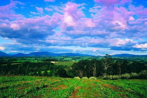 CHEVY CONVERTIBLE Package For 4 -Wine Lunch Cheese & Chocolate From Yarra Valley - Accommodation Broome 4