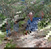 Small-Group Blue Mountains Tour with Bush Walks and Featherdale Wildlife Park - Accommodation Broome