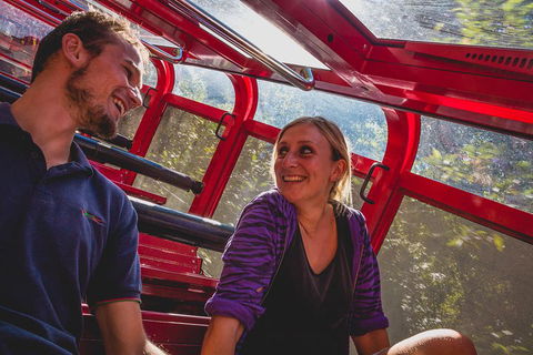 Blue Mountains Hop-on Hop-off Tour With Optional Scenic World Rides - Accommodation Broome 5