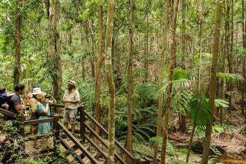 Fraser Explorer K'gari 2-Day Tour - Accommodation Broome 5