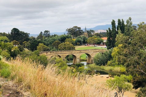 Day Tour In Mt. Field, Mt. Wellington, Bonorong Wildlife Sanctuary And Richmond - Accommodation Broome 3