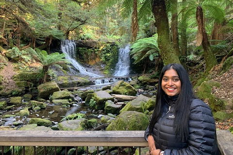 Day Tour In Mt. Field, Mt. Wellington, Bonorong Wildlife Sanctuary And Richmond - Accommodation Broome 5