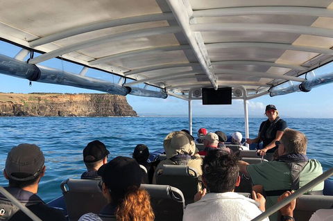 Julian Rocks Byron Bay Cruise - Accommodation Broome 4