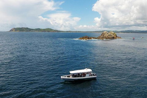 Julian Rocks Byron Bay Cruise - Accommodation Broome 5