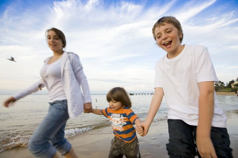 Phillip Island Penguin And Koala Highlights Day-Trip From Melbourne - Accommodation Broome 0