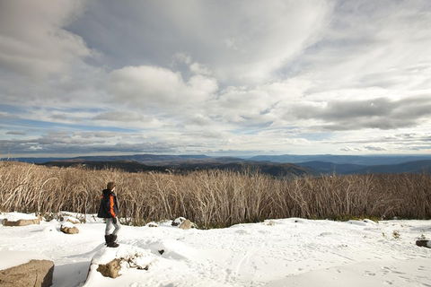 Lake Mountain Snow Trip Including Yarra Valley Chocolaterie From Melbourne - Accommodation Broome 5
