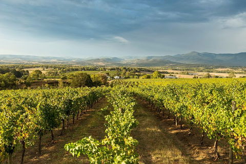 Yarra Valley Local Produce And Wine Tasting Tour - Accommodation Broome 3