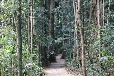 Eumundi Markets And Sunshine Coast Day Trip From Brisbane - Accommodation Broome 4