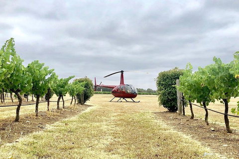 Private Helicopter Flight To Hunter Valley With A La Carte Lunch - For 2 - Accommodation Broome 4