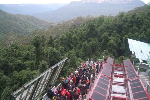 Blue Mountains Private Tour With Wildlife Park And River Cruise - Accommodation Broome 1