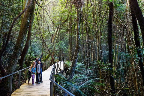 Blue Mountains Private Tour With Wildlife Park And River Cruise - Accommodation Broome 4