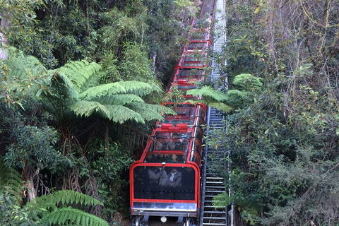 Blue Mountains Private Full-Day Tour From Sydney With Cruise - Accommodation Broome 5