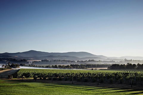 Chauffeur Driven Yarra Valley Group Wine Tour - Up To 7 - Accommodation Broome 2