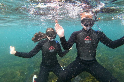 Manly Snorkel Trip And Nature Walk With Local Guide - Accommodation Broome 3