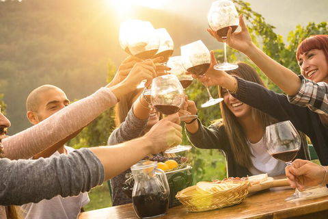 Yarra Valley, Dandenong Ranges Inc. Lunch With Wine,plus Morning Tea,chocolate - Accommodation Broome 4