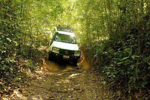 Barron Gorge And Kuranda National Park Half Day Rainforest And Waterfall 4WD Tour From Cairns - Accommodation Broome 2