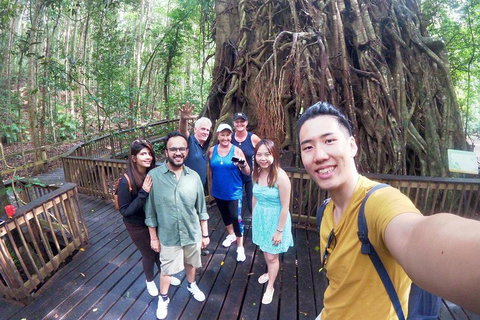 Barron Gorge And Kuranda National Park Half Day Rainforest And Waterfall 4WD Tour From Cairns - Accommodation Broome 5