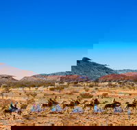 Alice Springs Camel Tour - Accommodation Broome