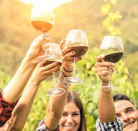 Adelaide Hills Day Tour. Winery Cellar Doors - Accommodation Broome