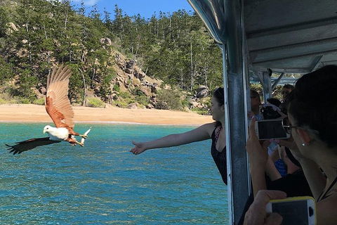Aquascene Magnetic Island Discovery Tour - Accommodation Broome 2
