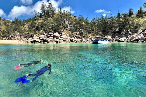 Aquascene Magnetic Island Discovery Tour - Accommodation Broome 4