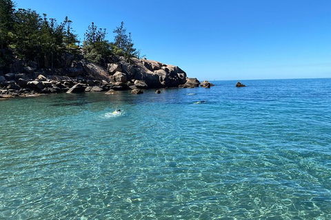 Aquascene Magnetic Island Discovery Tour - Accommodation Broome 5