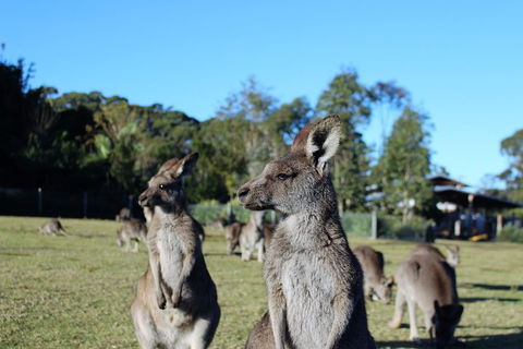 Royal National Park Tour - Accommodation Broome 2